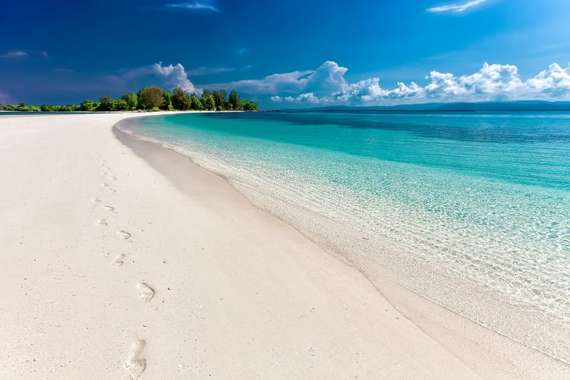 Beach Escapade