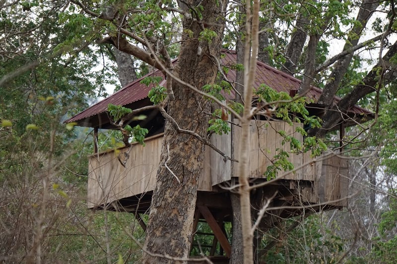 Out'n'About Treehouse Treesort